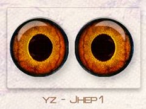 yz - Jhep1